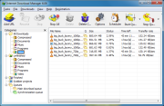 Internet Download Manager 6.15