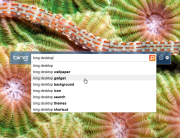 Bing Desktop