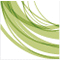 Camtasia Studio 8.1.0