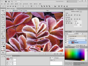 Adobe Fireworks CS6