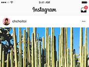 Instagram