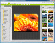 Ashampoo Photo Commander 9