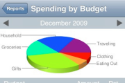 Ace Budget
