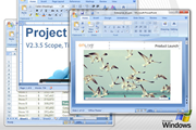 OnLive Desktop