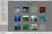 Phototheca 1.0.0.802
