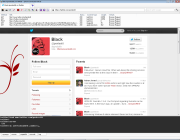 Sandcat Browser 3.0 Beta 2