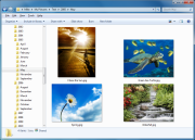 PhotosTree 1.1.0.0