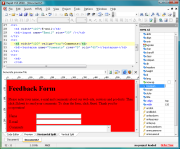 Rapid CSS 12.1