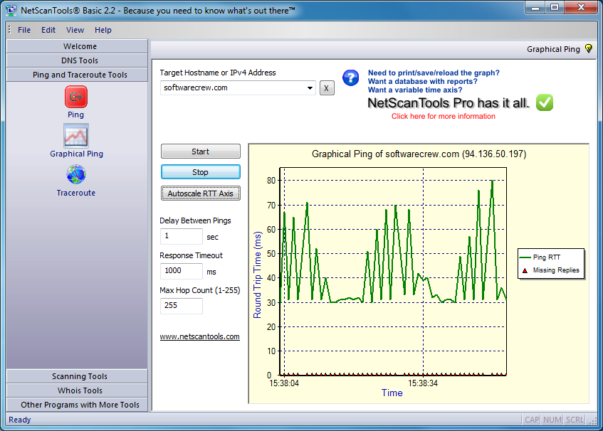 Whois Tool in NetScanTools Pro