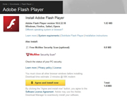 download browser with flash player
