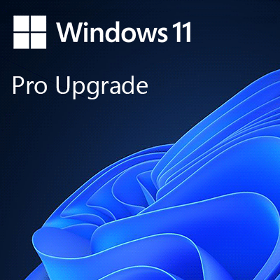 Windows 11 Professional [UPGRADE]