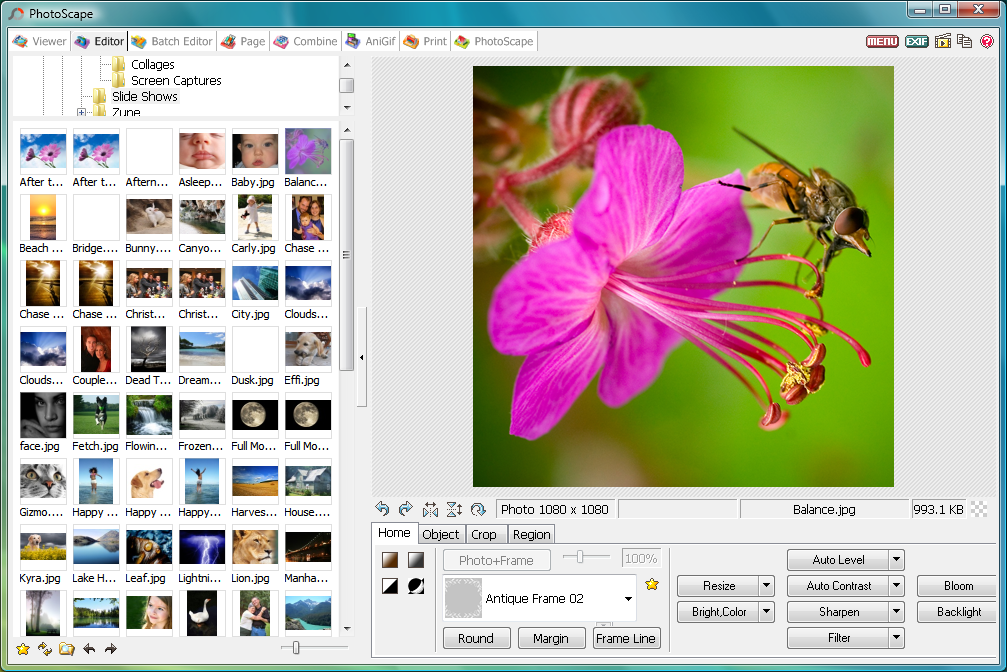 windows 10 photo editor old version