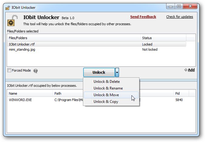 IObit Unlocker v1.3.0.11 LargeImg