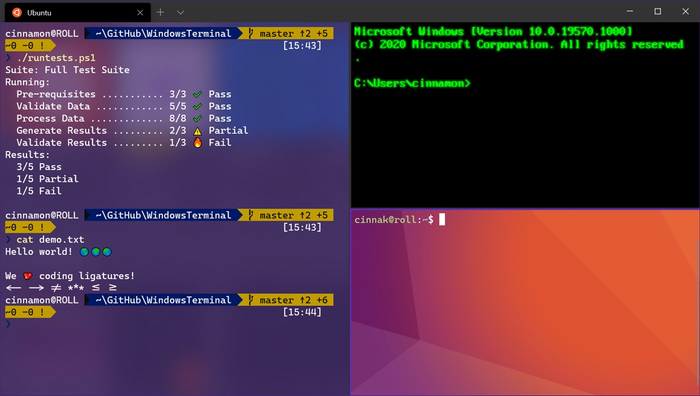 windows terminal on linux